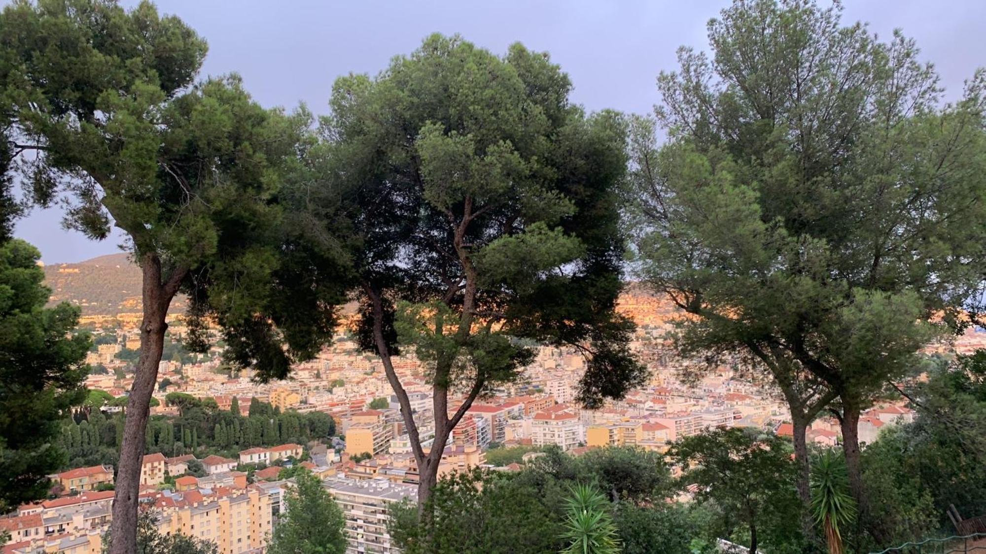 Chambre D Hote Avec Clim Terrasse Et Petit Dejeuner Hauteurs De نيس المظهر الخارجي الصورة
